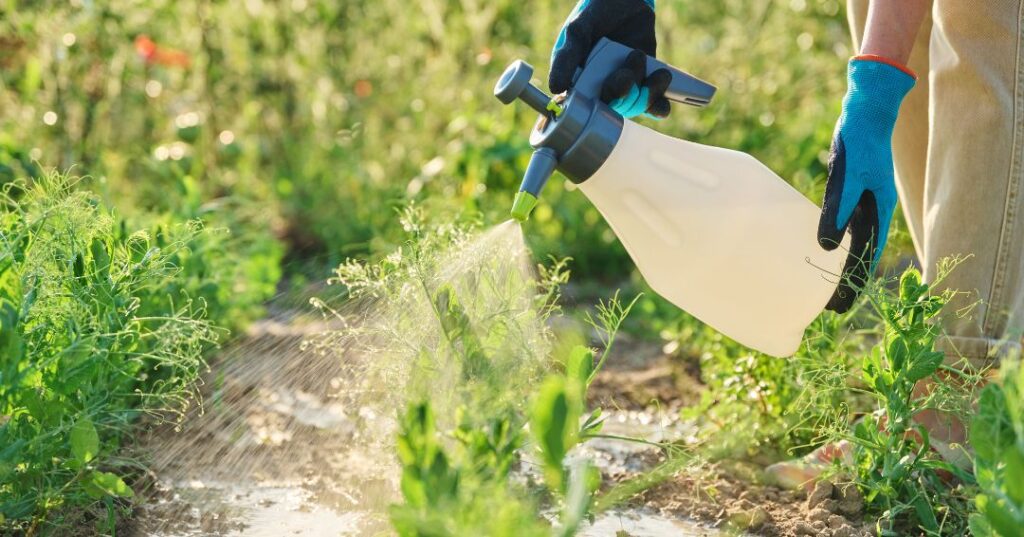 controle de pragas em Salvador