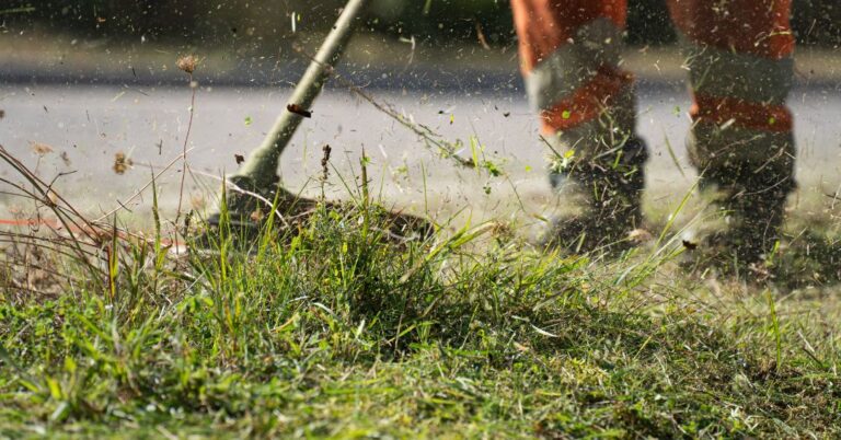 corte de grama em Salvador